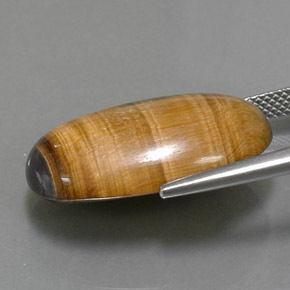 Tiger's eye marrón natural de 19,16 ct, corte óvalo, opaco