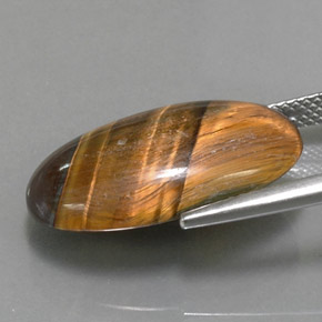 Tiger's eye marrón natural de 13,07 ct, corte óvalo, opaco