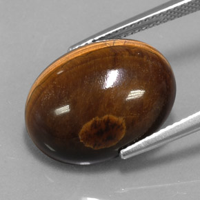 Tiger's eye marrón natural de 12,49 ct, corte óvalo, opaco