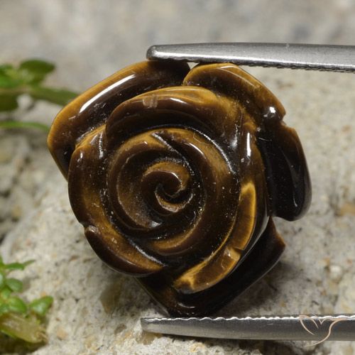 12.98ct Natural Marrón cálido Ojo de Tigre, Corte Flor, Opaco