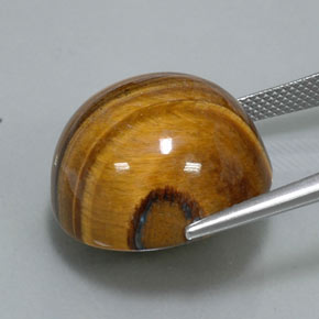 Tiger's eye marrón natural de 36,26 ct, corte redondo, opaco