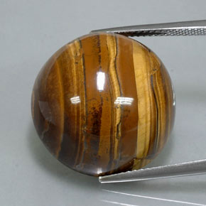 Tiger's eye marrón natural de 38,37 ct, corte redondo, opaco