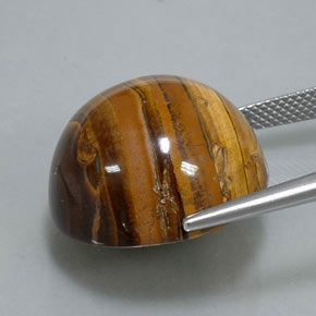 Tiger's eye marrón natural de 38,37 ct, corte redondo, opaco