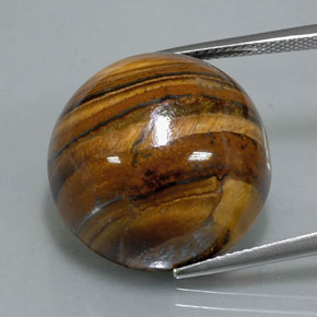 Tiger's eye marrón natural de 39,32 ct, corte redondo, opaco