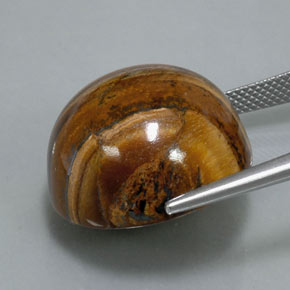 Tiger's eye marrón natural de 39,32 ct, corte redondo, opaco