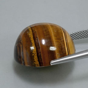 Tiger's eye marrón natural de 37,12 ct, corte redondo, opaco