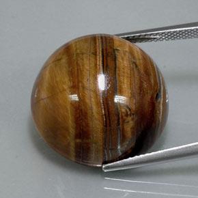 Tiger's eye marrón natural de 36,50 ct, corte redondo, opaco