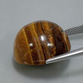 Tiger's eye marrón natural de 36,50 ct, corte redondo, opaco