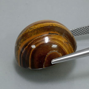 Tiger's eye marrón natural de 37,72 ct, corte redondo, opaco
