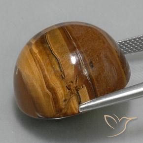 Ojo de Tigre Marrón cálido natural de 37.62 ct, Redondo, Opaco