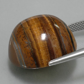 Ojo de Tigre Marrón oro natural de 38.29 ct, Corte Redondo, Opaco