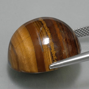 Tiger's eye marrón natural de 36,89 ct, corte redondo, opaco