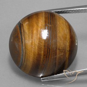 Ojo de Tigre Marrón cálido natural de 36.45 ct, Corte Redondo, Opaco