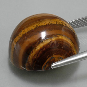 Tiger's eye marrón natural de 36,33 ct, corte redondo, opaco