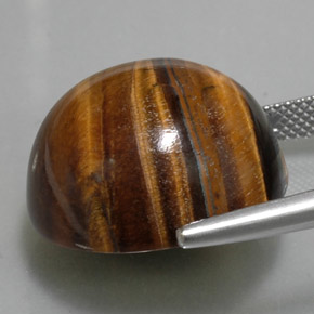 Tiger's eye marrón natural de 36,96 ct, corte redondo, opaco