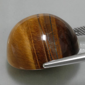 Tiger's eye marrón natural de 36,05 ct, corte redondo, opaco