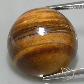 36.73ct Natural Marrón medio Ojo de Tigre, Redondo, Opaco