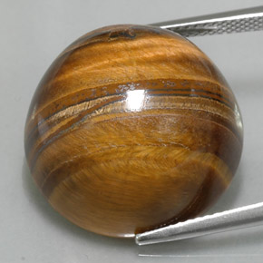 Tiger's eye marrón natural de 37,11 ct, corte redondo, opaco