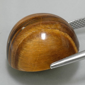 Tiger's eye marrón natural de 37,11 ct, corte redondo, opaco