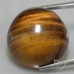 35.20ct Natural Marrón medio Ojo de Tigre, Redondo, Opaco