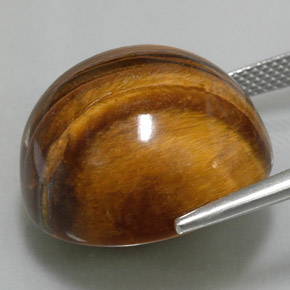 Ojo de Tigre Marrón oro natural de 37.73 ct, Corte Redondo, Opaco