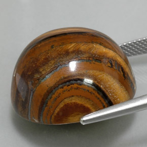 Tiger's eye marrón natural de 39,11 ct, corte redondo, opaco