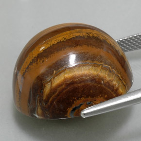Tiger's eye marrón natural de 35,88 ct, corte redondo, opaco