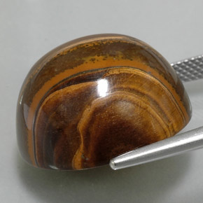 Ojo de Tigre Marrón oro natural de 36.02 ct, Corte Redondo, Opaco