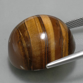 Tiger's eye marrón natural de 38,33 ct, corte redondo, opaco