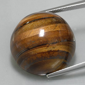 Tiger's eye marrón natural de 36,56 ct, corte redondo, opaco