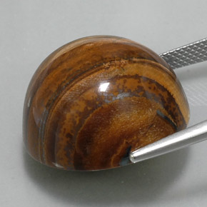 Tiger's eye marrón natural de 36,56 ct, corte redondo, opaco