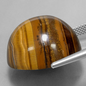 Tiger's eye marrón natural de 37,72 ct, corte redondo, opaco