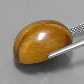 Ojo de Tigre Marrón oro natural de 16.78 ct, Corte Óvalo, Opaco