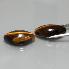 Gemas de tiger's eye marrón natural de  ct, marquesa, opaco