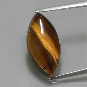 Ojo de Tigre Marrón oro natural de 9.18 ct, Marquesa, Opaco