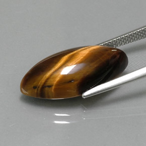 Ojo de Tigre Marrón oro natural de 9.18 ct, Marquesa, Opaco