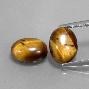 Gemas de tiger's eye marrón natural de  ct, corte óvalo, opaco