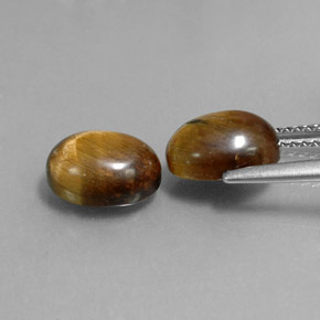 Gemas de tiger's eye marrón natural de  ct, corte óvalo, opaco