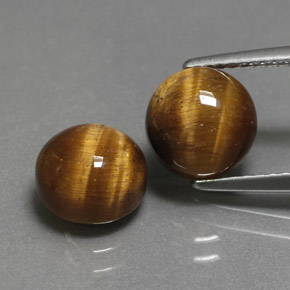 Gemas de tiger's eye marrón natural de  ct, corte redondo, opaco
