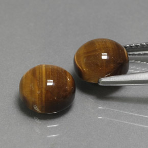 Gemas de tiger's eye marrón natural de  ct, corte redondo, opaco
