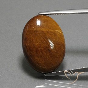 19.12ct Natural Marrón cálido Ojo de Tigre, Ovalada, Opaco
