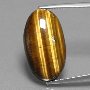 Tiger's eye marrón natural de 19,73 ct, corte óvalo, opaco