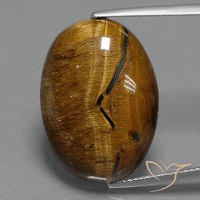 25.02ct Natural Marrón cálido Ojo de Tigre, Ovalada, Opaco