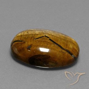 Ojo de Tigre Marrón cálido natural de 25.02 ct, Ovalada, Opaco