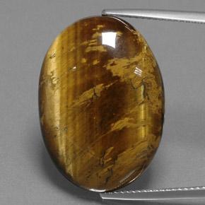 Ojo de Tigre Marrón dorado natural de 24.97 ct, Corte Óvalo, Opaco