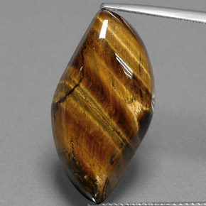 Ojo de Tigre Marrón oro natural de 18.41 ct, Forma elegante, Opaco