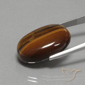Ojo de Tigre Marrón dorado natural de 27.02 ct, Ovalada, Opaco