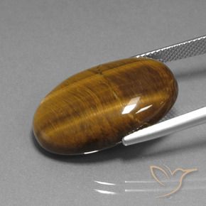 Ojo de Tigre Marrón cálido natural de 20.16 ct, Ovalada, Opaco