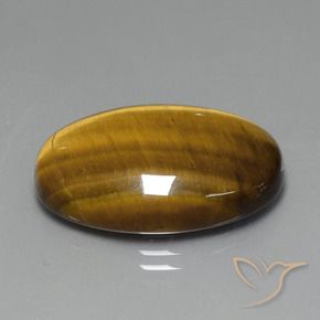 Ojo de Tigre Marrón dorado natural de 20.41 ct, Ovalada, Opaco
