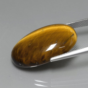 Tiger's eye marrón natural de 19,59 ct, corte óvalo, opaco